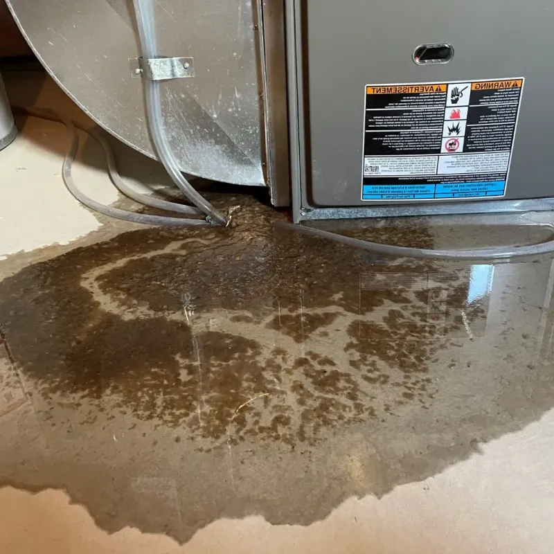 Pipe Burst and Leak Restoration in Ladd, IL