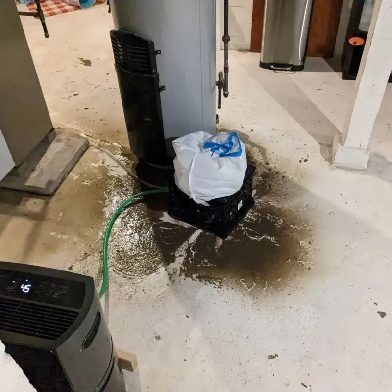 Sewage Backup Cleanup Service in Ladd, IL